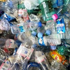 Les bouteilles en plastique à usage unique, un véritable fléau pour l’environnement