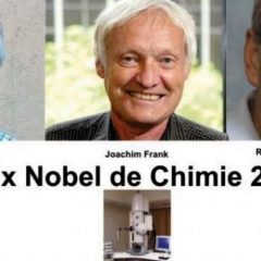 Jacques Dubochet, Richard Henderson et  Joachim Frank décrochent le prix de la chimie 2017