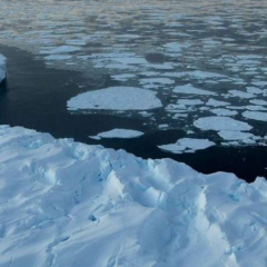 Des chercheurs tirent la sonnette d’alarme concernant le climat dans l’Antarctique