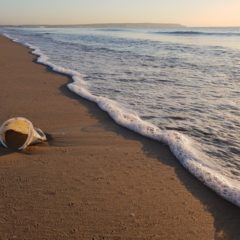 Reseaclons collecte et valorise les déchets plastiques en mer