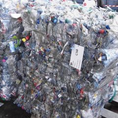 Recycler le plastique à l’infini grâce à une enzyme qui le digère