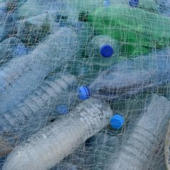 Recyclage du polyester – Un nouveau consortium voit le jour