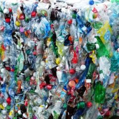 Sealed Air privilégie le recyclage chimique