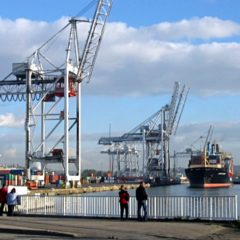 Le terminal multivrac du port du Havre relancé en 2021